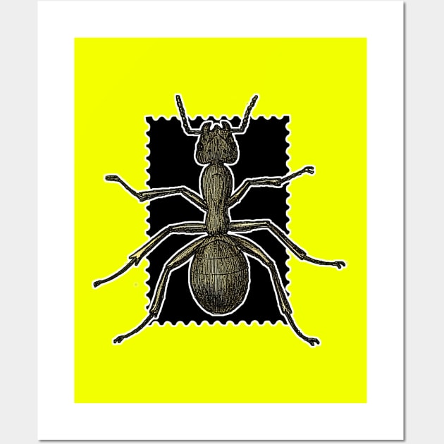 Lonely queen ant Wall Art by Marccelus